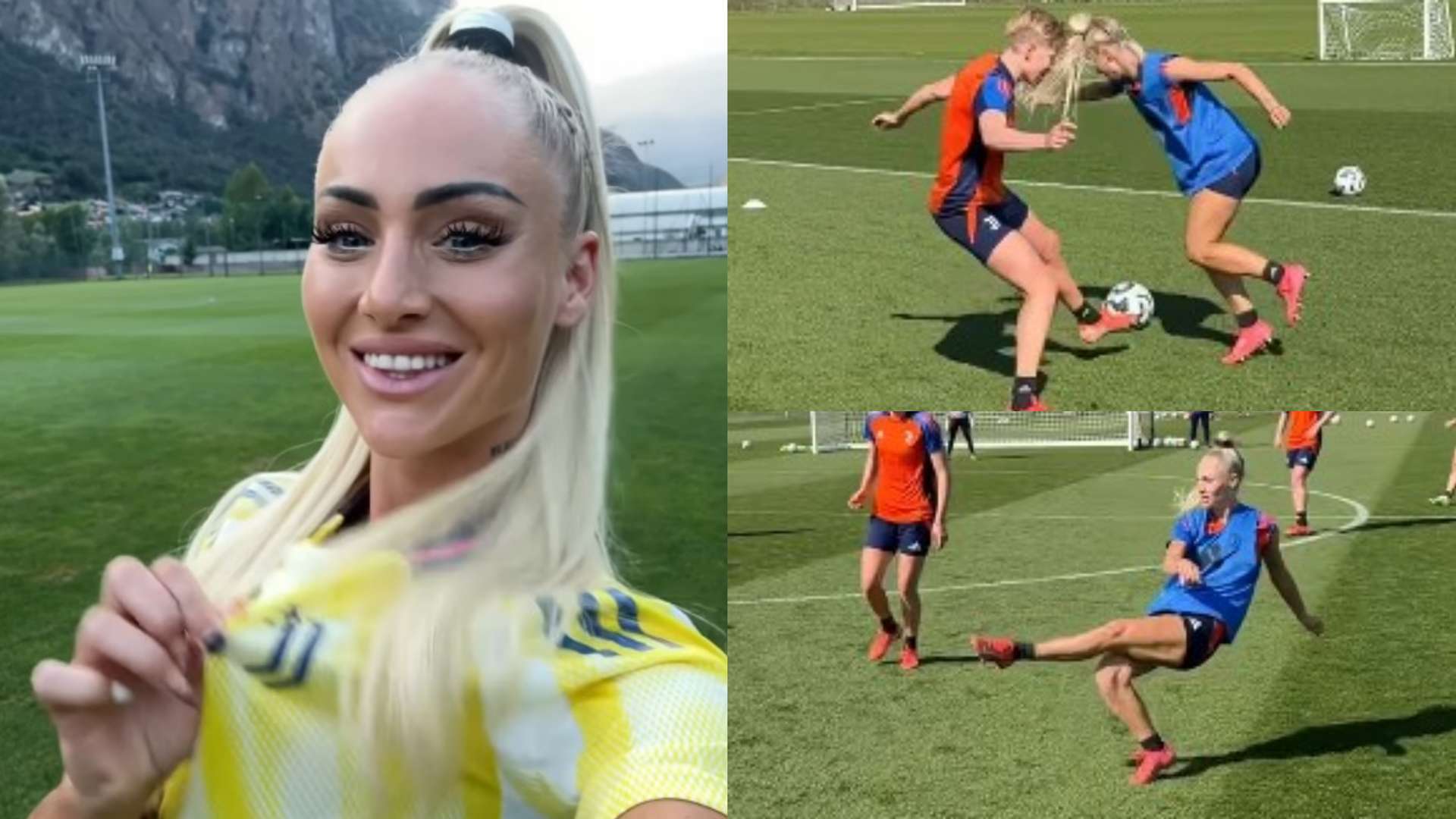 湖人试图在 湖人试图在